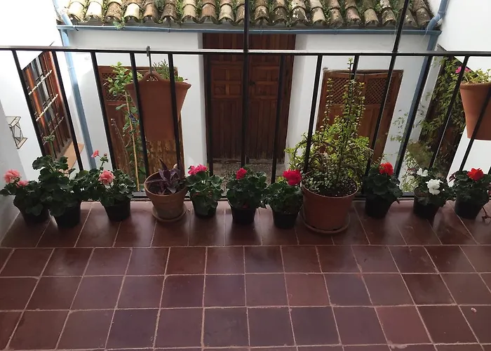 Duplex Juderia